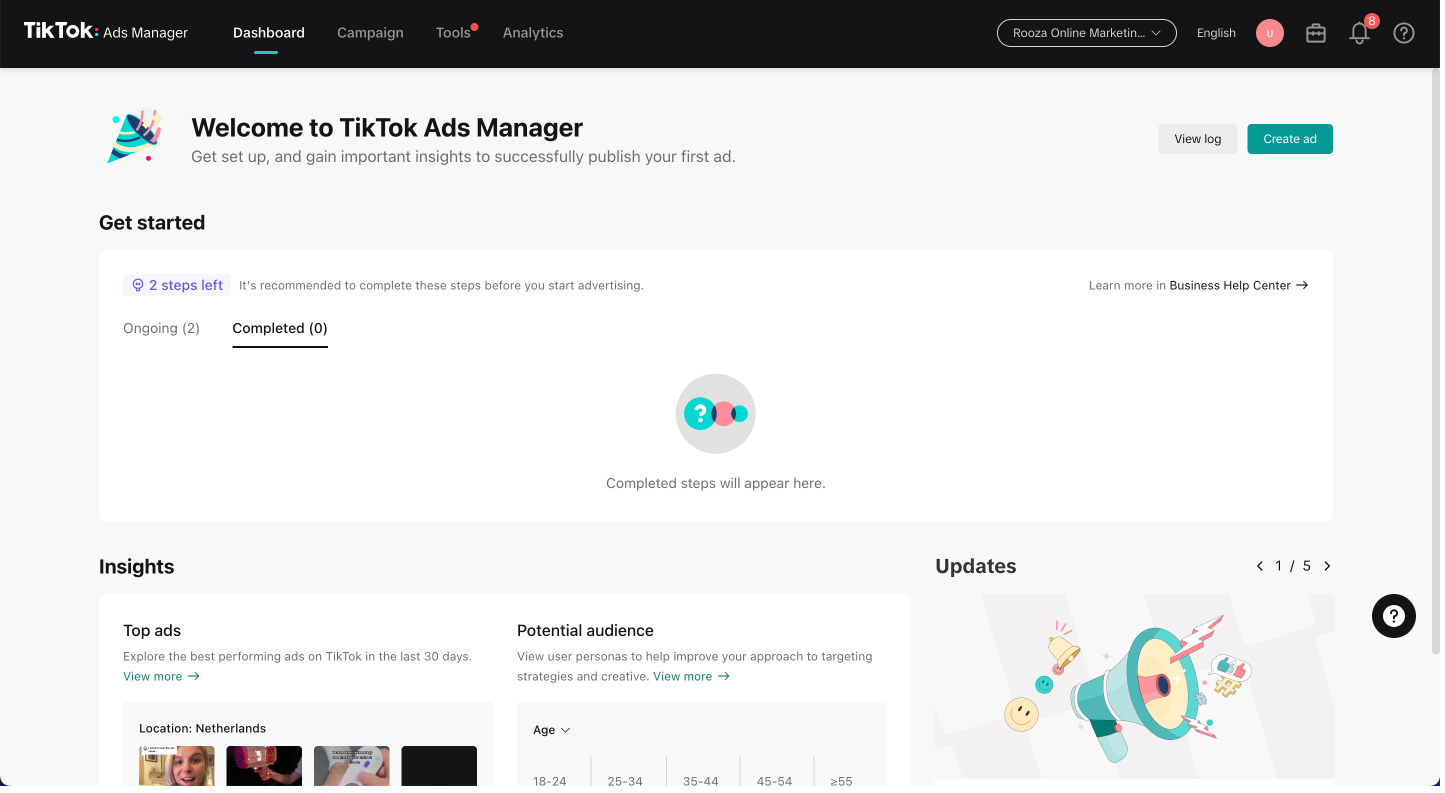 TikTok Ads Manager Dashboard